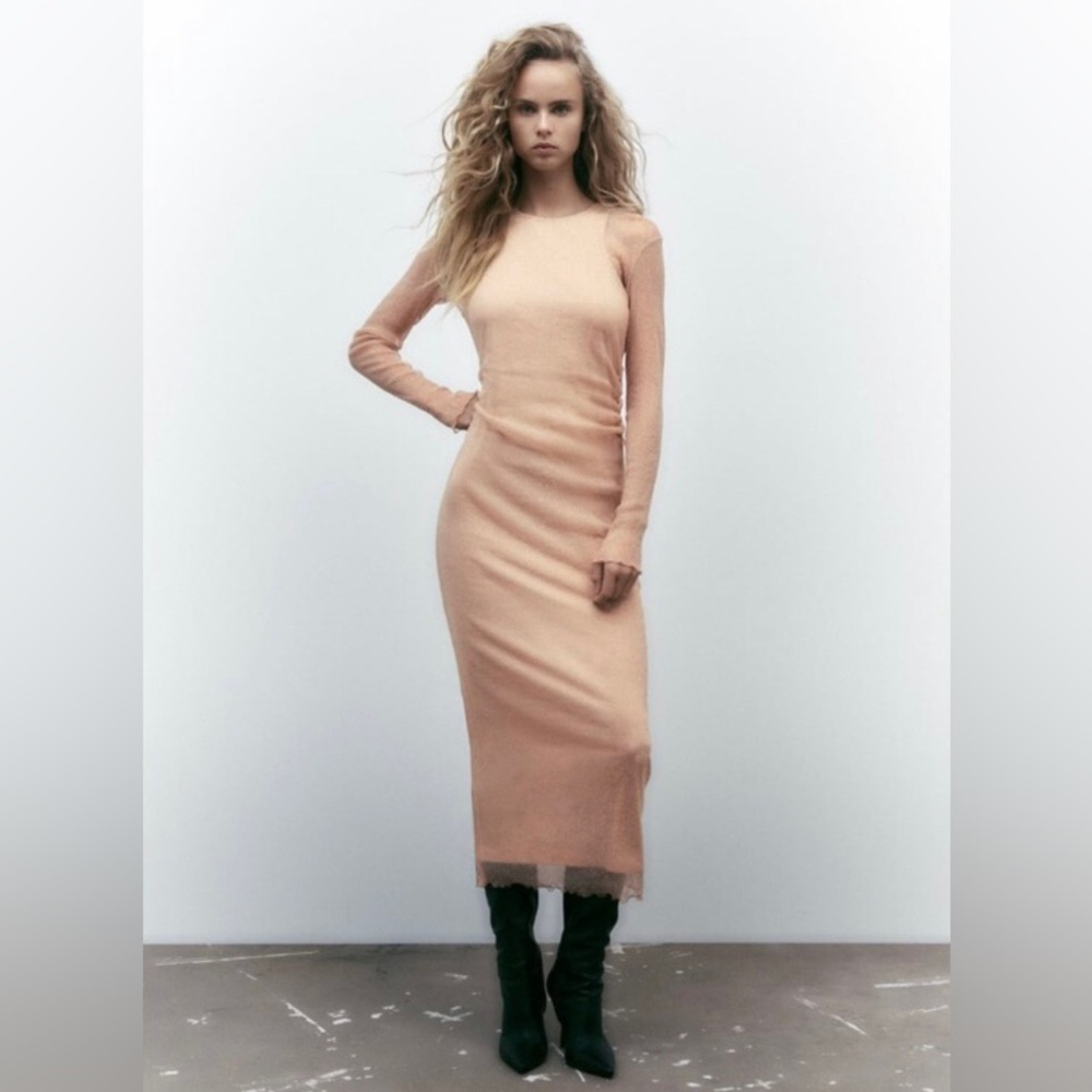Zara Tulle Sheer Dress XS NWT